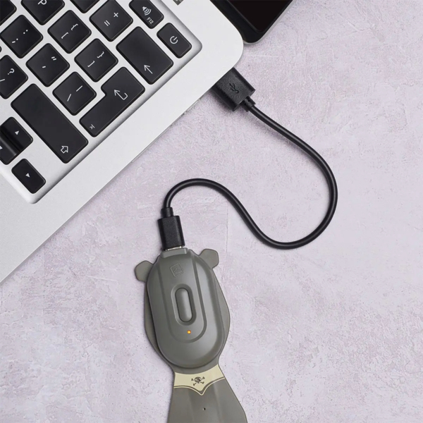 Закладка-ліхтарик Flexilight Rechargeable Друзі Пірат, 14,7 х3, 6х1, 3 см (FLRPPI) - Pampik - 8