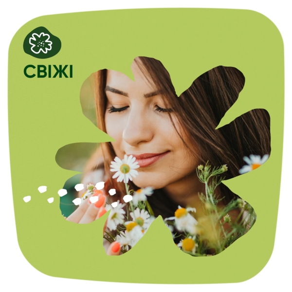 Щоденні прокладки Naturella Camomile Liners To Go Normal, 20 шт. - Pampik - 7