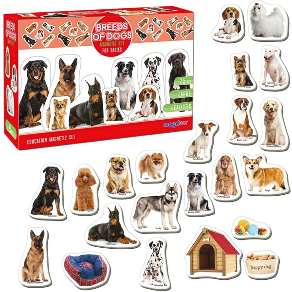 Набір магнітів Magdum Породи собак (ML4031-20EN) - Pampik - 2