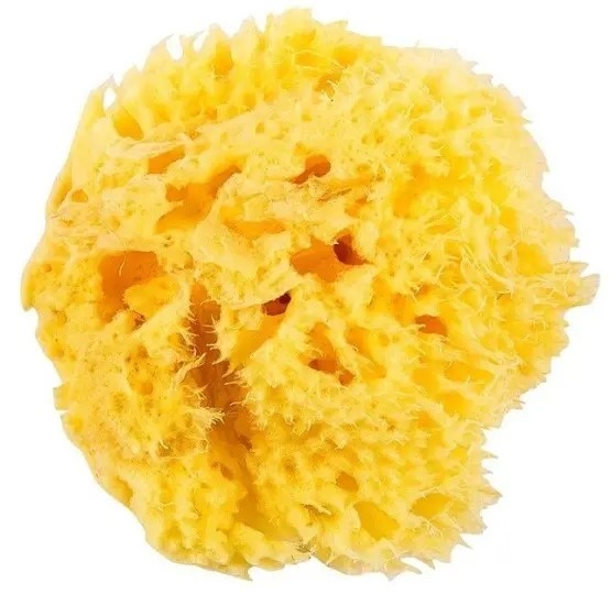 Натуральна губка для ванни OK Baby Honeycomb sea sponge, р.12, жовтий (38471200) - Pampik