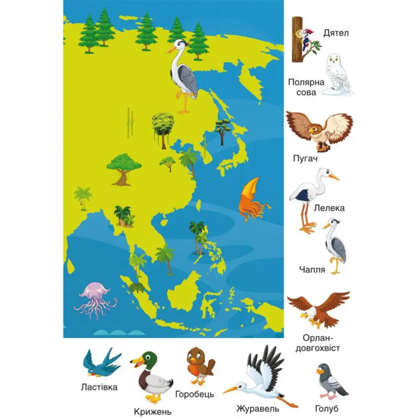 Набір наліпок. Перші розвивальні наліпки. Птахи, 35 шт. - Pampik - 6