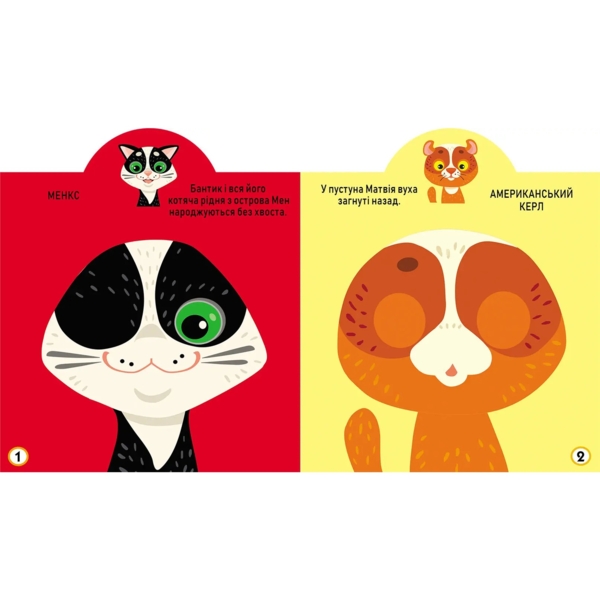 Грайка-розвивайка. Котики. 69 великих наліпок (F00024850) - Pampik - 2