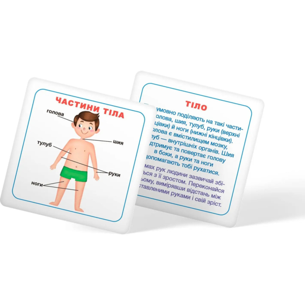 Розумні картки. Моє тіло. 30 шт. (F00021275) - Pampik - 8