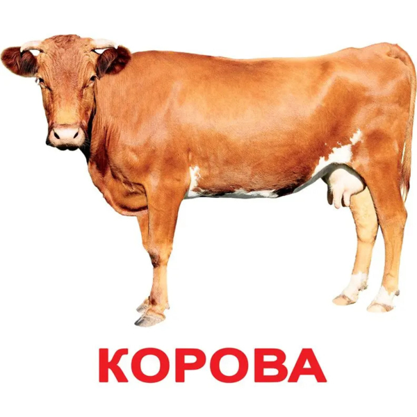 Карточки Домана Вундеркинд с пеленок Домашние животные, с фактами, 20 шт., укр. язык (2100064091544) - Pampik - 3