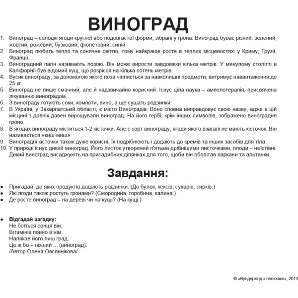 Картки Домана Вундеркінд з пелюшок Ягоди, 20 карток, укр. мова (2100064097041) - Pampik - 4