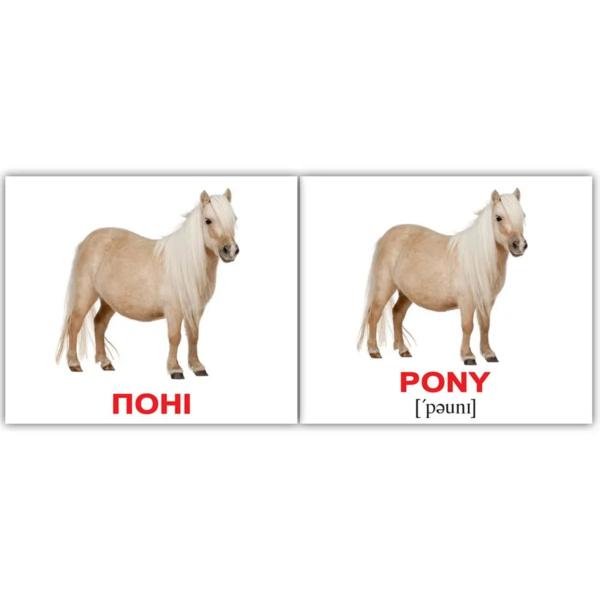 Мини-карточки Домана Вундеркинд с пеленок Домашние животные/Domestic animals, укр.-англ. язык, 40 шт. (2100064096808) - Pampik - 4