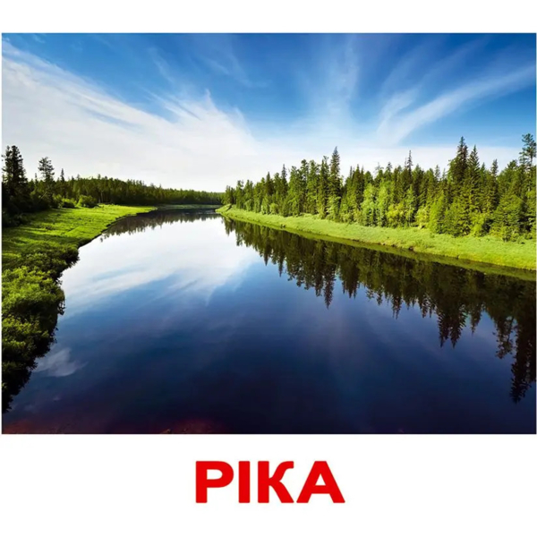 Карточки Домана Вундеркинд с пеленок Природа, 20 карточек, укр. язык (2100064096068) - Pampik - 3