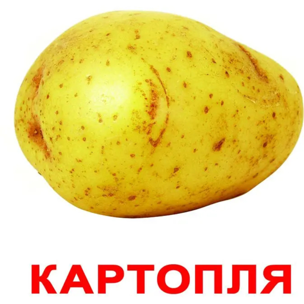 Картки Домана Вундеркінд з пелюшок Овочі, 20 карток, укр. мова (2100064095290) - Pampik - 3