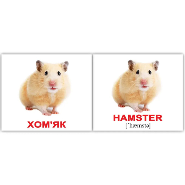 Мини-карточки Домана Вундеркинд с пеленок Домашние животные/Domestic animals, укр.-англ. язык, 40 шт. (2100064096808) - Pampik - 3