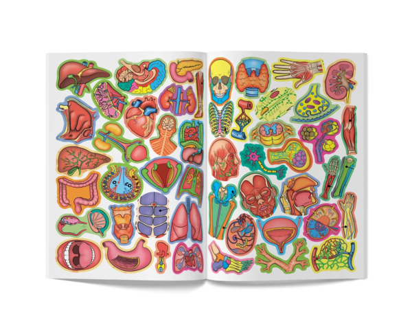 Тіло людини. Велика книжка. Розвивальні наліпки. Розумнi завдання (F00021862) - Pampik - 3