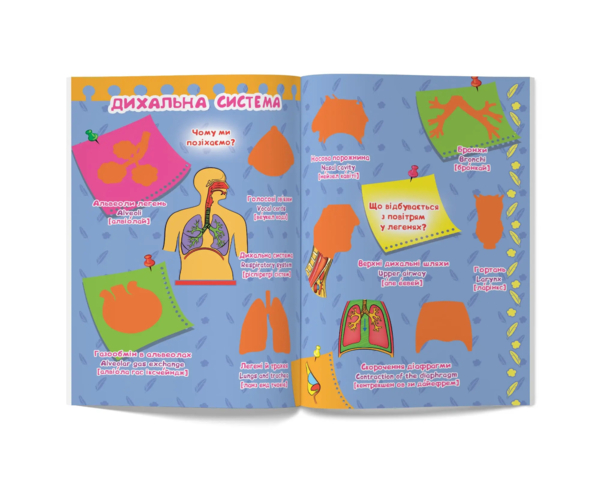 Тіло людини. Велика книжка. Розвивальні наліпки. Розумнi завдання (F00021862) - Pampik - 4