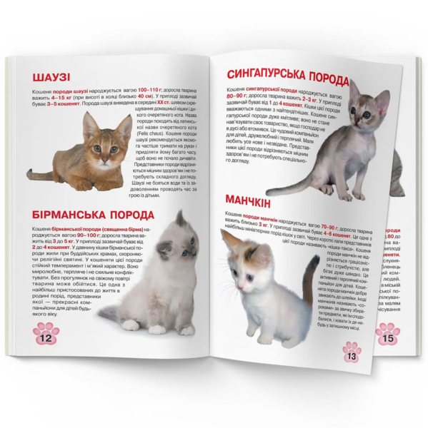 Большая книга Кристал Бук Котята (F00019383) - Pampik - 3