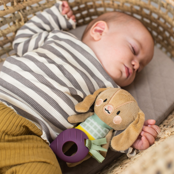 Развивающая подвеска-погремушка Taf Toys Садик в городе Кролик Дженни (12995) - Pampik - 2