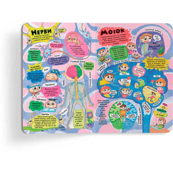 Книжка з секретними віконцями. Усе про твоє тіло (F00022754) - Pampik - 2