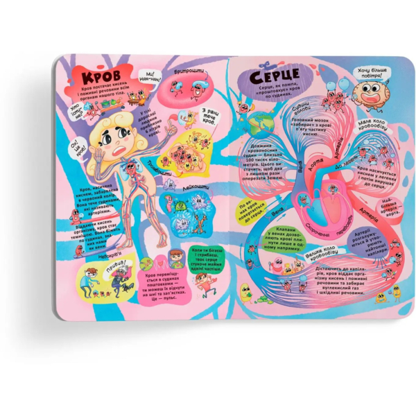 Книжка з секретними віконцями. Усе про твоє тіло (F00022754) - Pampik - 3