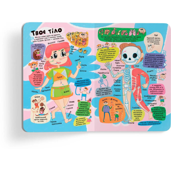 Книжка з секретними віконцями. Усе про твоє тіло (F00022754) - Pampik - 5