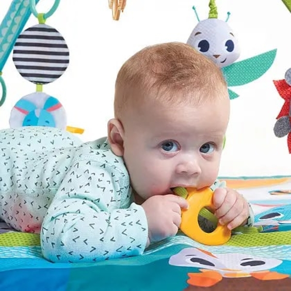 Развивающий коврик с дугами Tiny Love Веселая Полянка (1206506830) - Pampik - 5