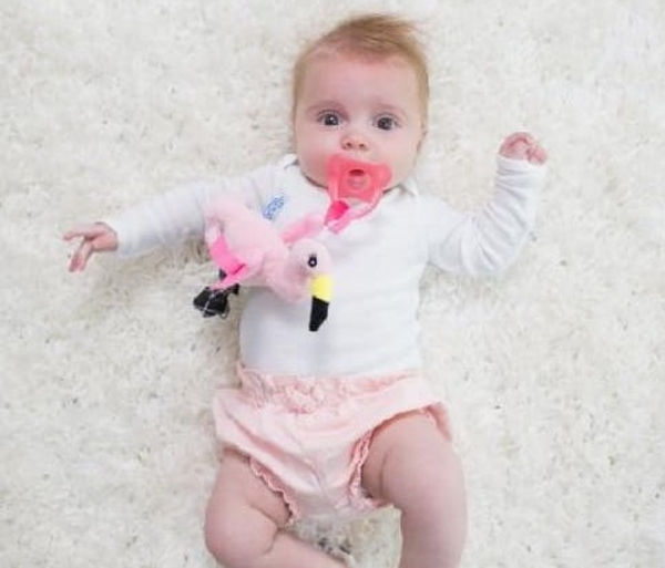 Цельная пустышка с держателем-игрушкой Dr. Brown's Фламинго, 0-12 мес., розовый (AC153-P6) - Pampik - 4