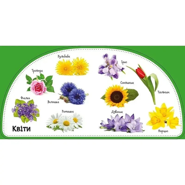 50 перших слів. Дивимось і запам'ятовуємо. Рослини - Жученко М.С. - Pampik - 4