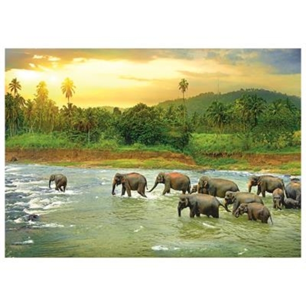 Пазл EuroGraphics Тропічний ліс ,Серія: Врятуємо нашу планету, 1000 елементів (6000-5540) - Pampik - 2