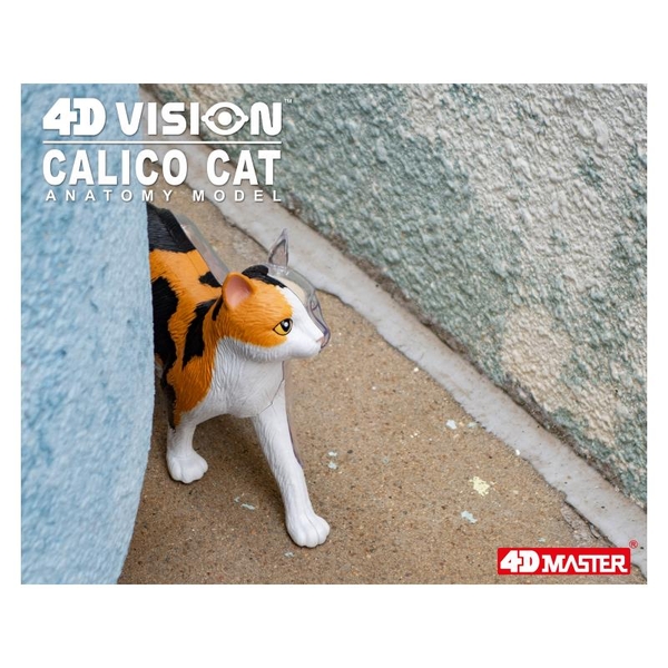 Объемная модель 4D Master Кот, 28 деталей (FM-622040) - Pampik - 16