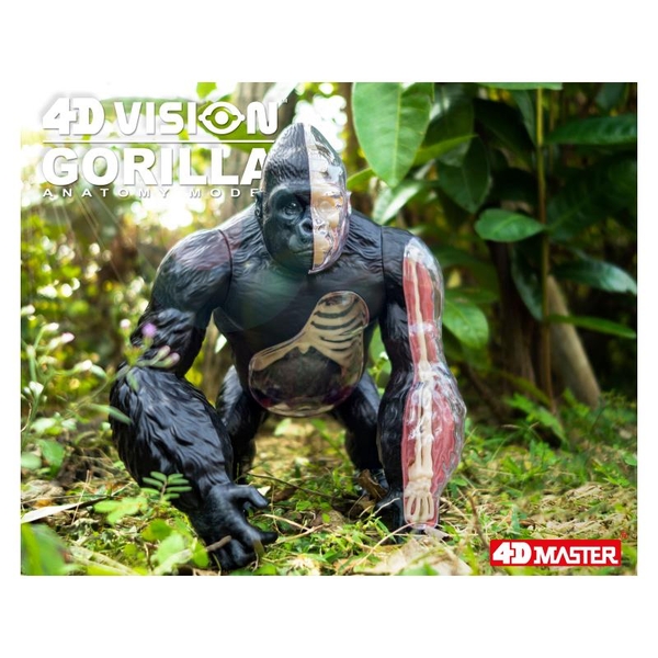 Объемная модель 4D Master Горилла, 29 деталей (FM-622012) - Pampik - 15