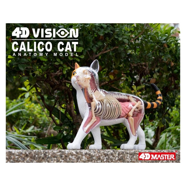 Объемная модель 4D Master Кот, 28 деталей (FM-622040) - Pampik - 17