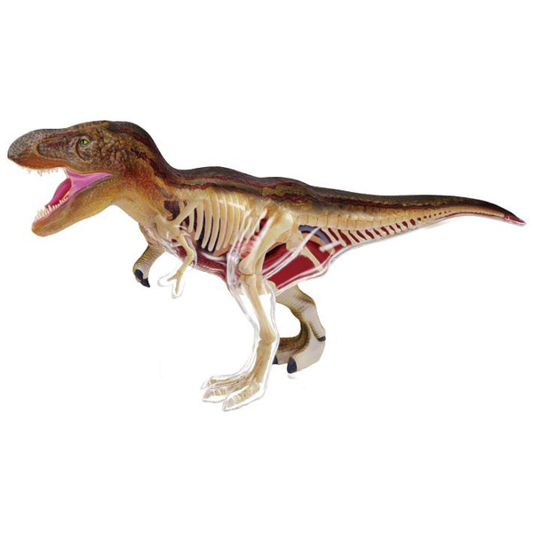 Об'ємна модель 4D Master Тиранозавр, 36 деталей (FM-622013) - Pampik - 5