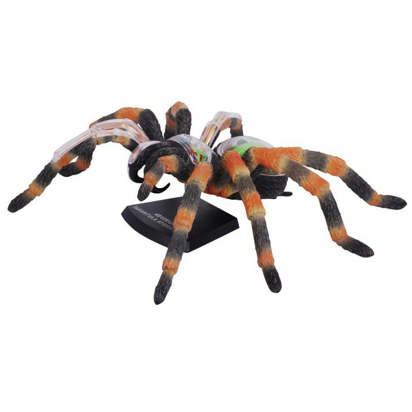 Объемная модель 4D Master Паук Тарантул, 33 детали (FM-622032) - Pampik - 4