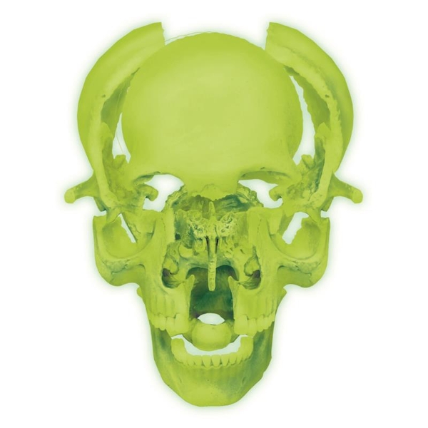 Об'ємна модель 4D Master Череп людини, що світиться, 17 деталей (FM-626113) - Pampik - 3