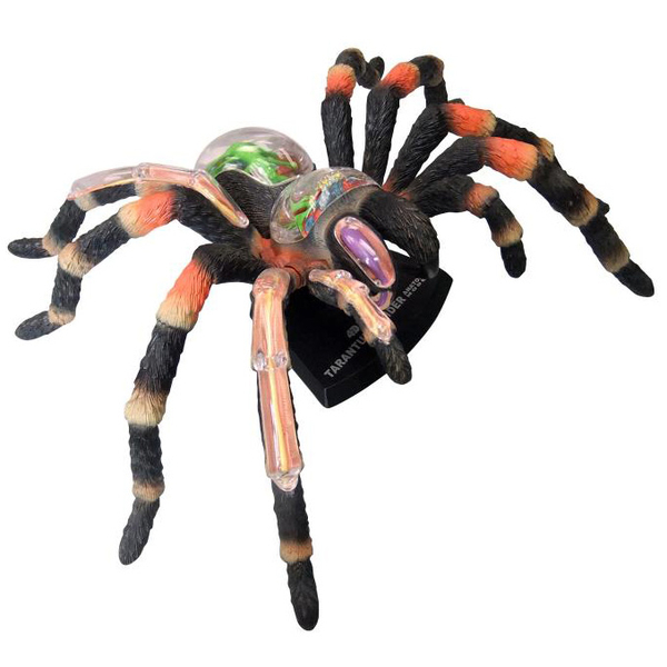 Объемная модель 4D Master Паук Тарантул, 33 детали (FM-622032) - Pampik - 5