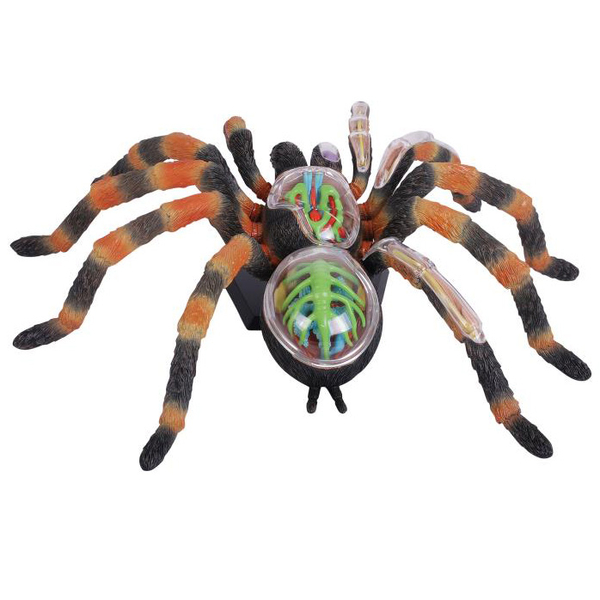 Объемная модель 4D Master Паук Тарантул, 33 детали (FM-622032) - Pampik - 6
