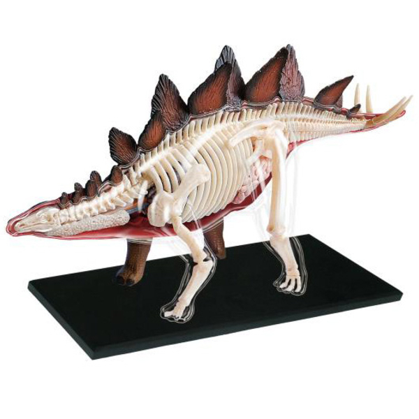 Об'ємна модель 4D Master Стегозавр, 39 деталей (FM-622016) - Pampik - 2