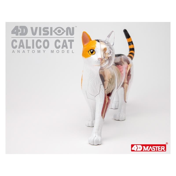 Объемная модель 4D Master Кот, 28 деталей (FM-622040) - Pampik - 10