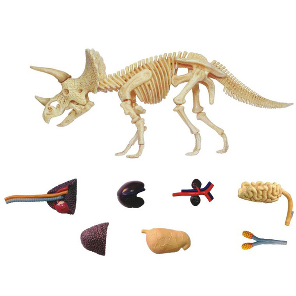 Об'ємна модель 4D Master Трицератопс, 46 деталей (FM-622014) - Pampik - 7