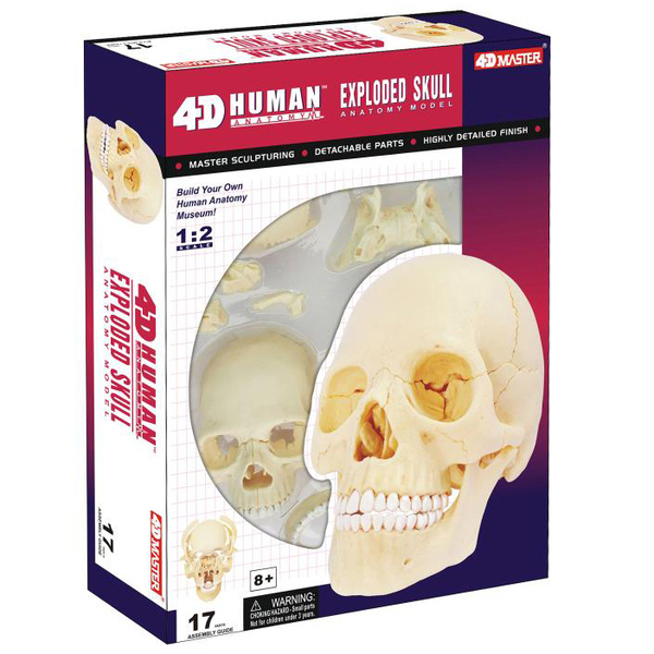 Об'ємна модель 4D Master Череп людини, 17 деталей (FM-626111) - Pampik
