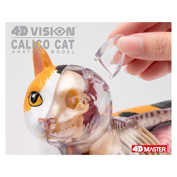 Объемная модель 4D Master Кот, 28 деталей (FM-622040) - Pampik - 9