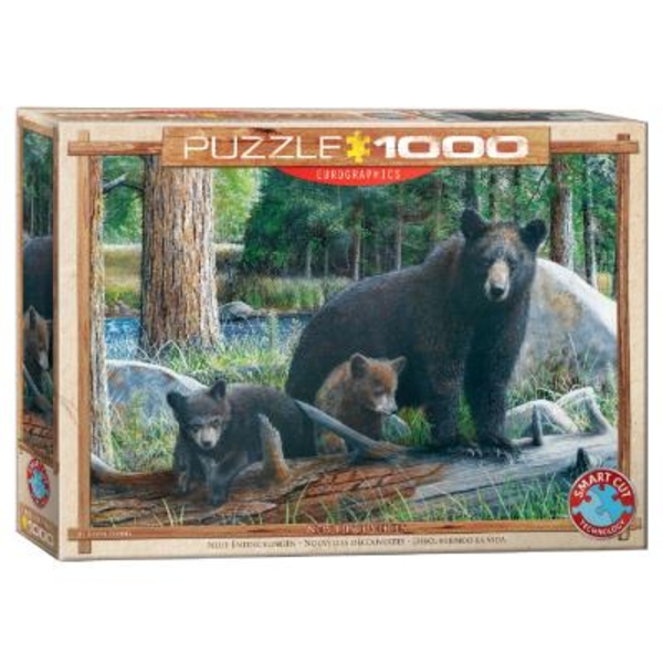 Пазл EuroGraphics Пізнаючи світ, Кевін Даніель, 1000 елементів (6000-0793) - Pampik