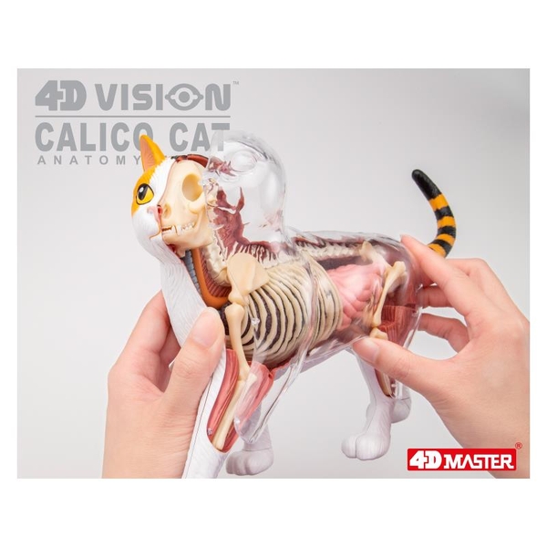 Объемная модель 4D Master Кот, 28 деталей (FM-622040) - Pampik - 7