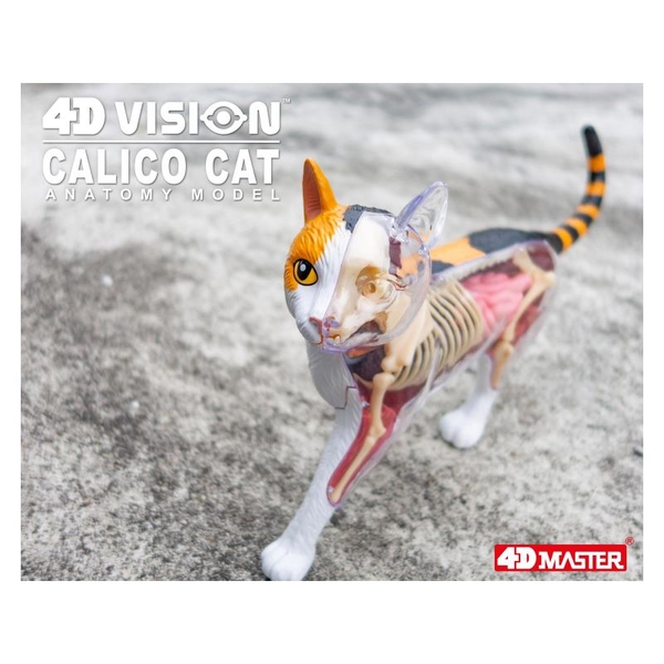 Объемная модель 4D Master Кот, 28 деталей (FM-622040) - Pampik - 11