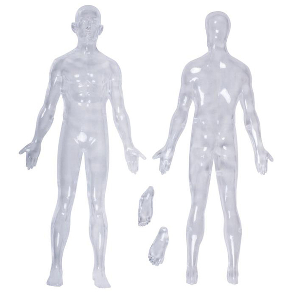 Об'ємна модель 4D Master Тіло людини, прозоре, 60 деталей (FM-626204) - Pampik - 5