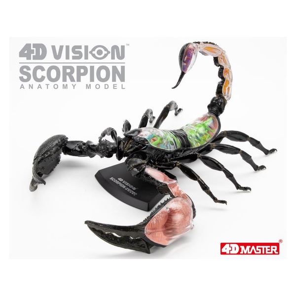 Объемная модель 4D Master Скорпион, 29 деталей (FM-622033) - Pampik - 11