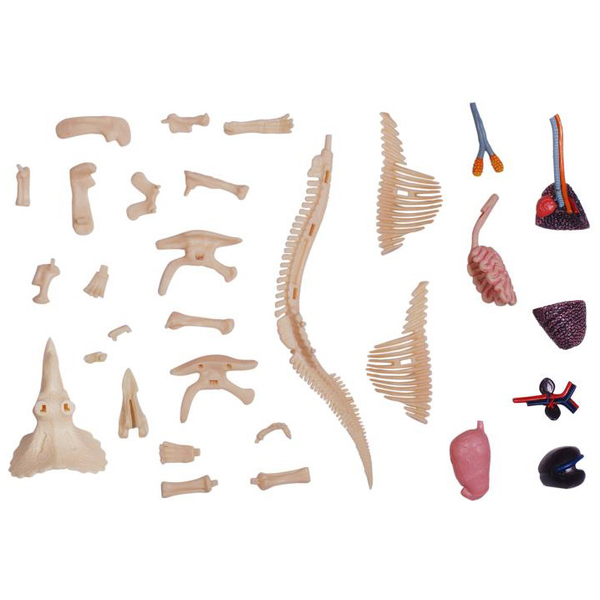 Об'ємна модель 4D Master Трицератопс, 46 деталей (FM-622014) - Pampik - 8