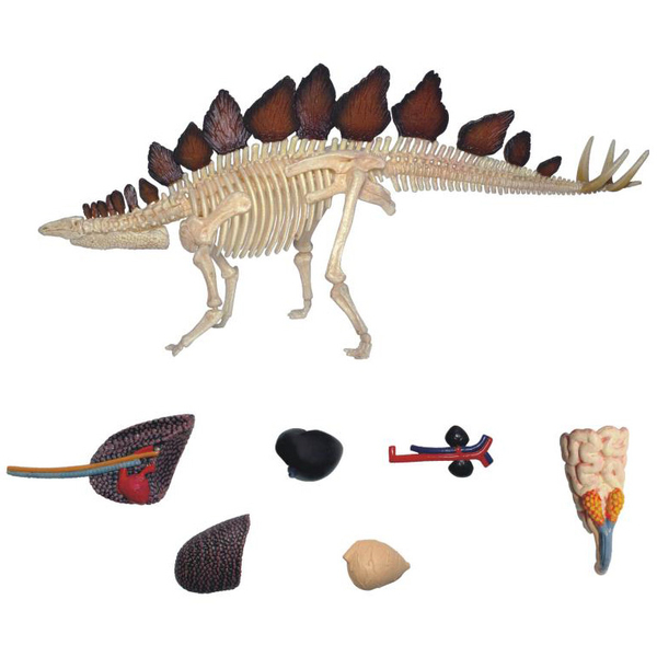 Об'ємна модель 4D Master Стегозавр, 39 деталей (FM-622016) - Pampik - 10