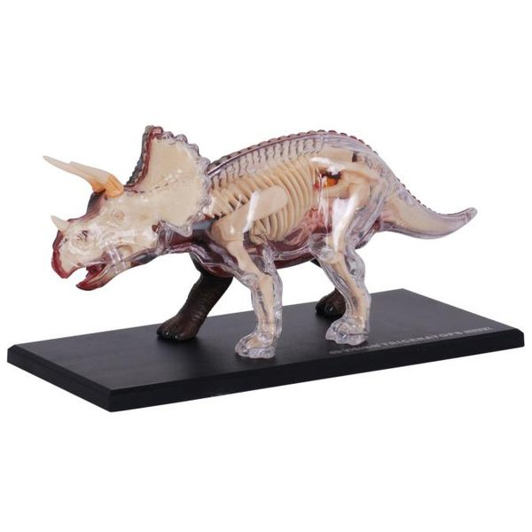 Об'ємна модель 4D Master Трицератопс, 46 деталей (FM-622014) - Pampik - 4