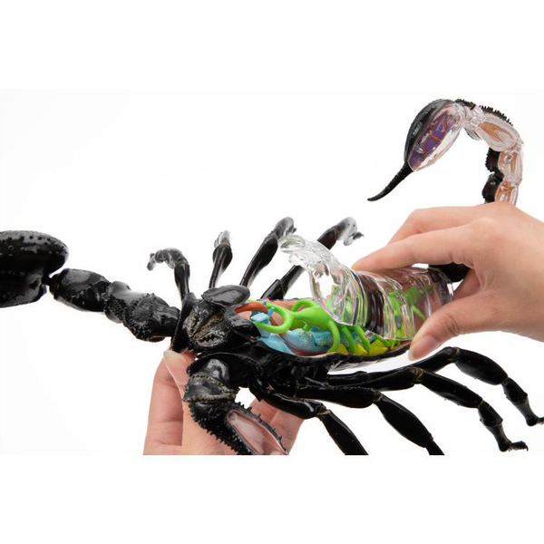 Объемная модель 4D Master Скорпион, 29 деталей (FM-622033) - Pampik - 9