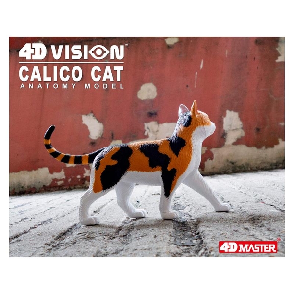 Объемная модель 4D Master Кот, 28 деталей (FM-622040) - Pampik - 14