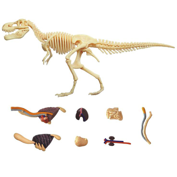 Об'ємна модель 4D Master Тиранозавр, 36 деталей (FM-622013) - Pampik - 8