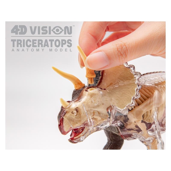 Об'ємна модель 4D Master Трицератопс, 46 деталей (FM-622014) - Pampik - 14