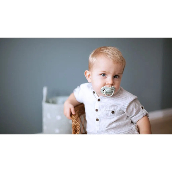 Пустушка силіконова динамічна Lovi Botanic Boy, 18+ міс., 2 шт., блакитний (22/875boy) - Pampik - 8